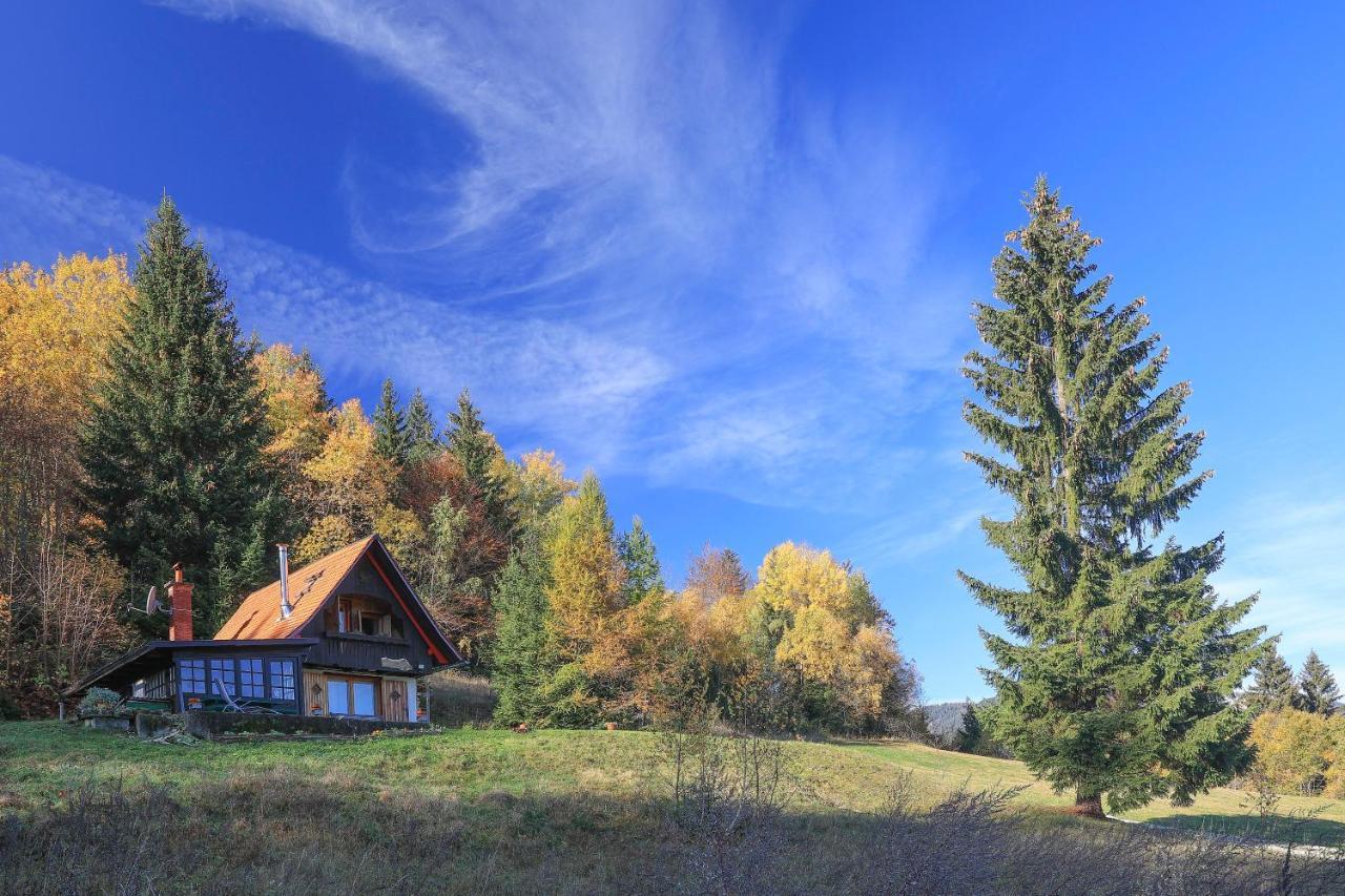 Fairytale Cottage - Peaceful Getaway Near Bled ゴレンスカ地方 エクステリア 写真