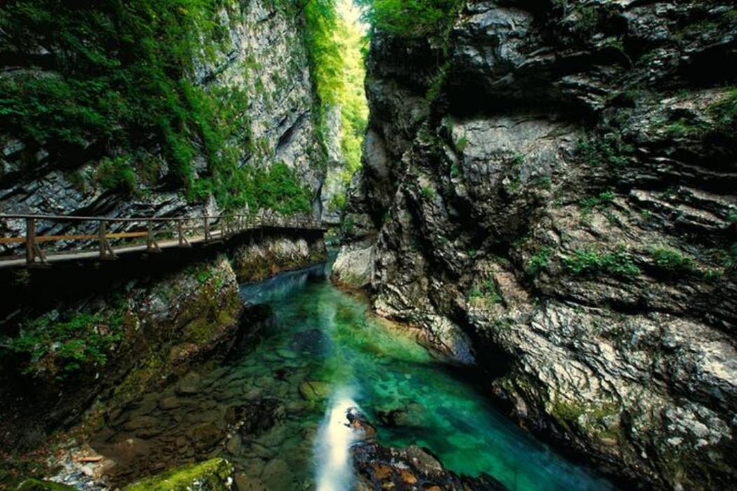 Fairytale Cottage - Peaceful Getaway Near Bled ゴレンスカ地方 エクステリア 写真