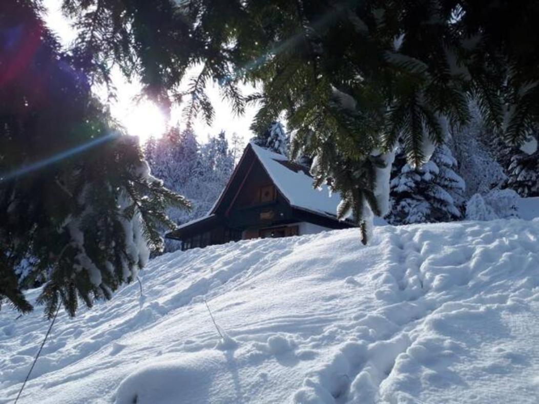 Fairytale Cottage - Peaceful Getaway Near Bled ゴレンスカ地方 エクステリア 写真
